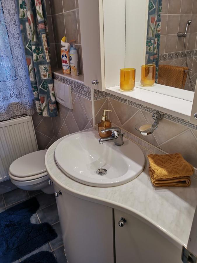 Bellevue Apartment With Ac & Heating & Terrace Budapest Luaran gambar
